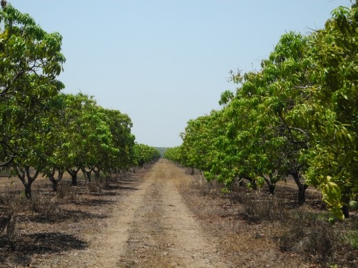 this is it. home for the next month!