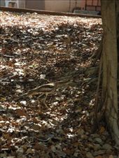 by michidoesoz, Views[180]