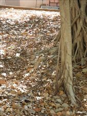 by michidoesoz, Views[207]