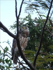 by michidoesoz, Views[222]