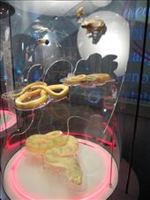 by michidoesoz, Views[174]