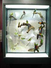 by michidoesoz, Views[238]