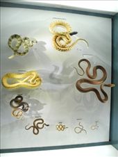 by michidoesoz, Views[201]