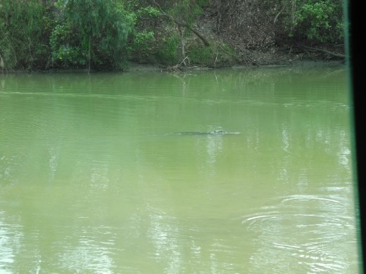 they weren't joking... this is for real. crocs. and a lot of them. 