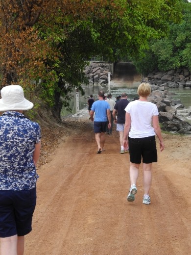 yeah. let's go and say hello up close. aaaah