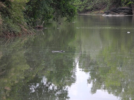 ello there sir. don't mean to disturb you...