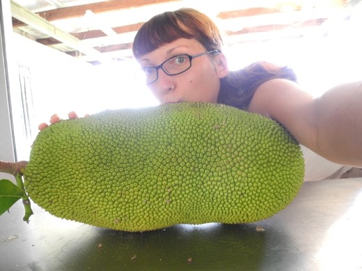 er... just had to get jack2, he was hanging over the fence.had to be done. :D