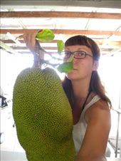 by michidoesoz, Views[206]