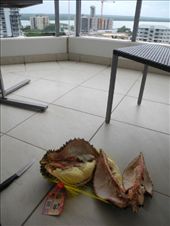 by michidoesoz, Views[205]