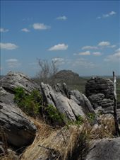 by michidoesoz, Views[98]