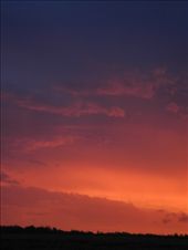 by michidoesoz, Views[181]