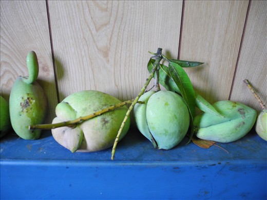 those you couldn't put in a normal box thatll end up in the supermarket. my babies.