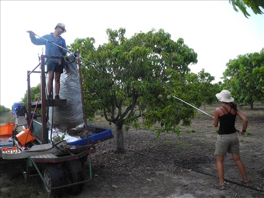 picking like a pro yo! :D