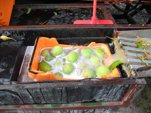 that dreaded de-sap basin.