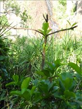 by michidoesoz, Views[181]