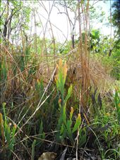 by michidoesoz, Views[180]