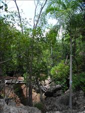 by michidoesoz, Views[153]