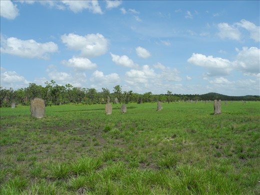 magnetic termite mounts. it had to be done.