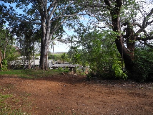 it looks nicer than it is ;-) all the messy rammed sheds at the bottom there. but sure enough lush trees and palm trees around the staff quarters. One mango tree of which we might have accidentally pinched a few pieces of fruit. 