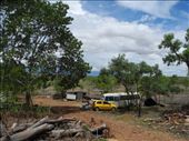 the typical Oz outback...heaps of dead old vehicles lying about. shame you can't really burn them, eh?!: by michidoesoz, Views[298]