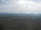 by michidoesoz, Views[237]