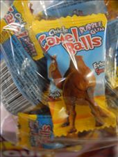 one of the most popular sweets at Roper Bar Store. Camel Balls. ... !: by michidoesoz, Views[370]