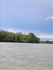 by michidoesoz, Views[242]