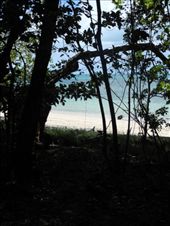 by michidoesoz, Views[168]