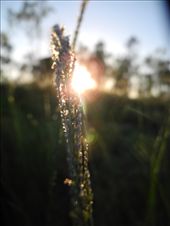 by michidoesoz, Views[205]