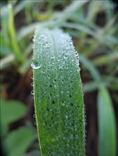 by michidoesoz, Views[172]