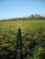 by michidoesoz, Views[145]