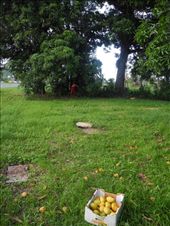 by michidoesoz, Views[141]