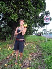 mango mango mango: by michidoesoz, Views[164]