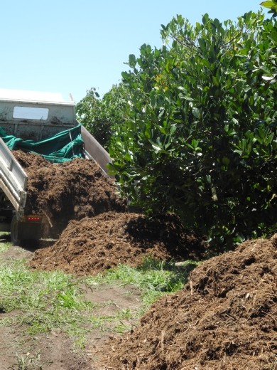 mulch mulch mulch we love mulch.