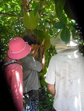 by michidoesoz, Views[128]