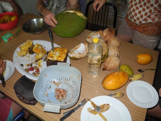 jack and coconut and papaya...some mangoes hiding in the back