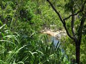 our creek: by michidoesoz, Views[168]