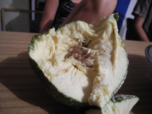 bread fruit. not so yum.