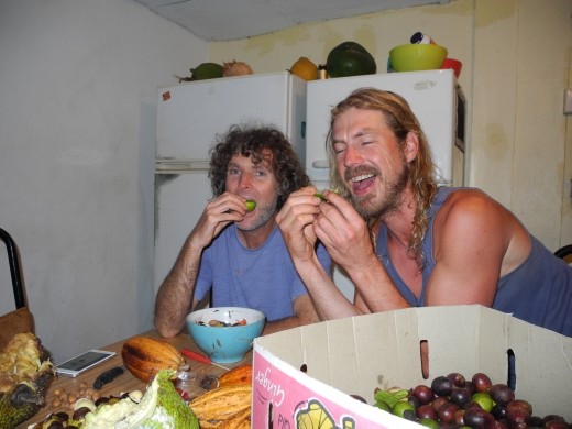 we don't need drugs or alcohol we got Miracle Fruit. makes everything taste like lemony sweets. or just generally sweet  sweets. this was the funnest thing. :D