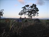 camping in style. motorway infront of us. sugar cane filed behind.: by michidoesoz, Views[202]