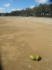 by michidoesoz, Views[139]