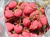 free lychees on the way. :): by michidoesoz, Views[182]