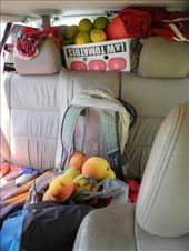 by michidoesoz, Views[201]