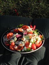 by michidoesoz, Views[151]