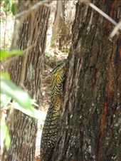 by michidoesoz, Views[170]