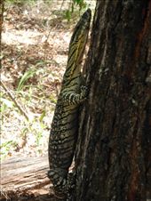 by michidoesoz, Views[201]