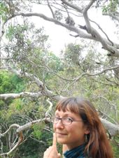 by michidoesoz, Views[163]