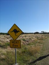 by michidoesoz, Views[176]