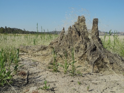 the winton wet lands. mh hm.