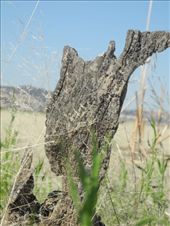 by michidoesoz, Views[193]